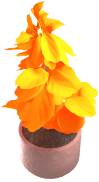 Ferskenplante